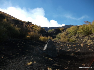 llone monte Zappinazzo-04-11-2012 09-58-08